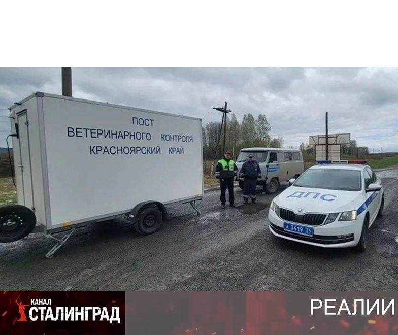И вновь продолжается забой.