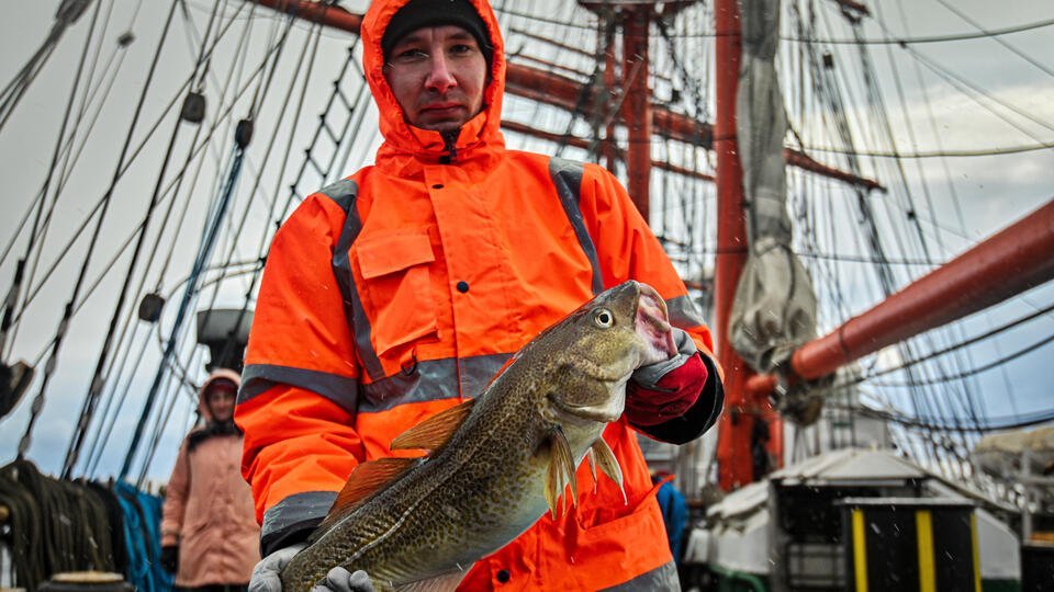 Англия ловила рыбу в баренцевом море
