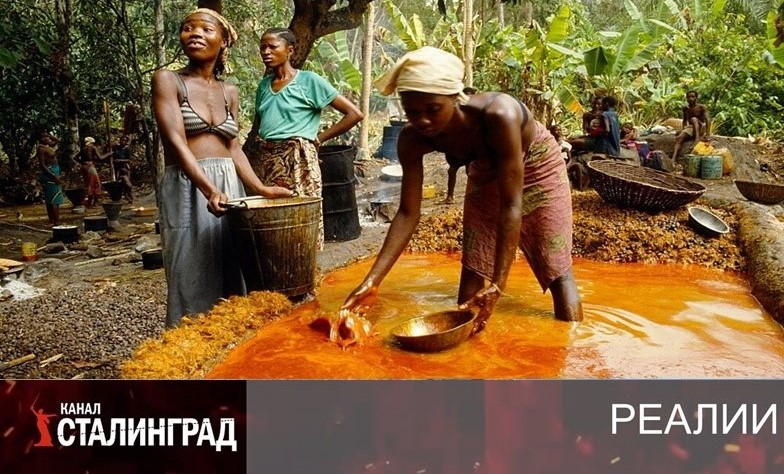 НАДОИ РАСТУТ