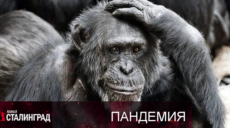 Последствия вакцинации?