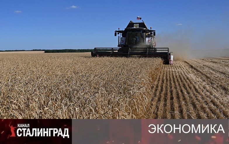 Зерновое удушье. 