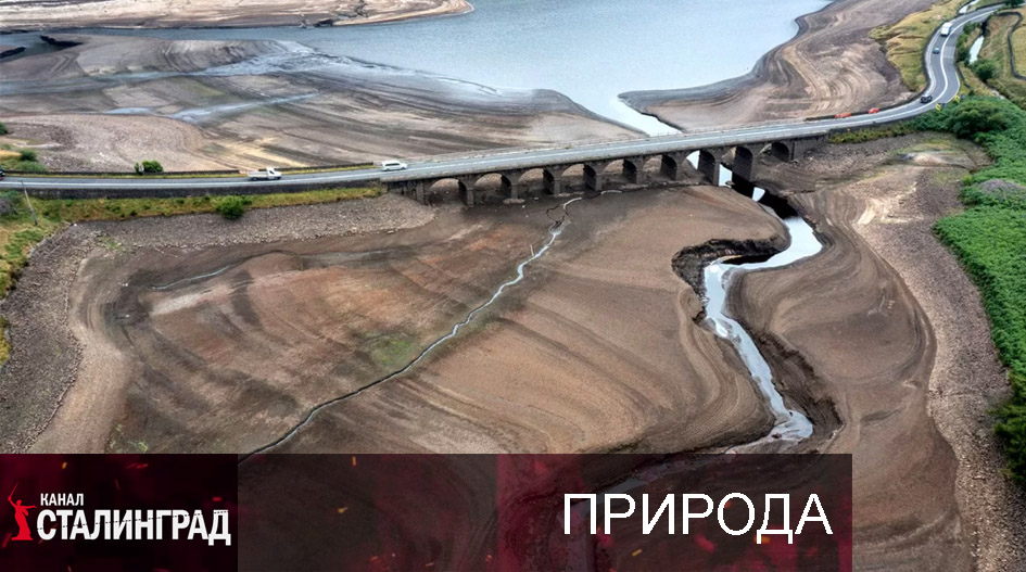 Казнь египетская.