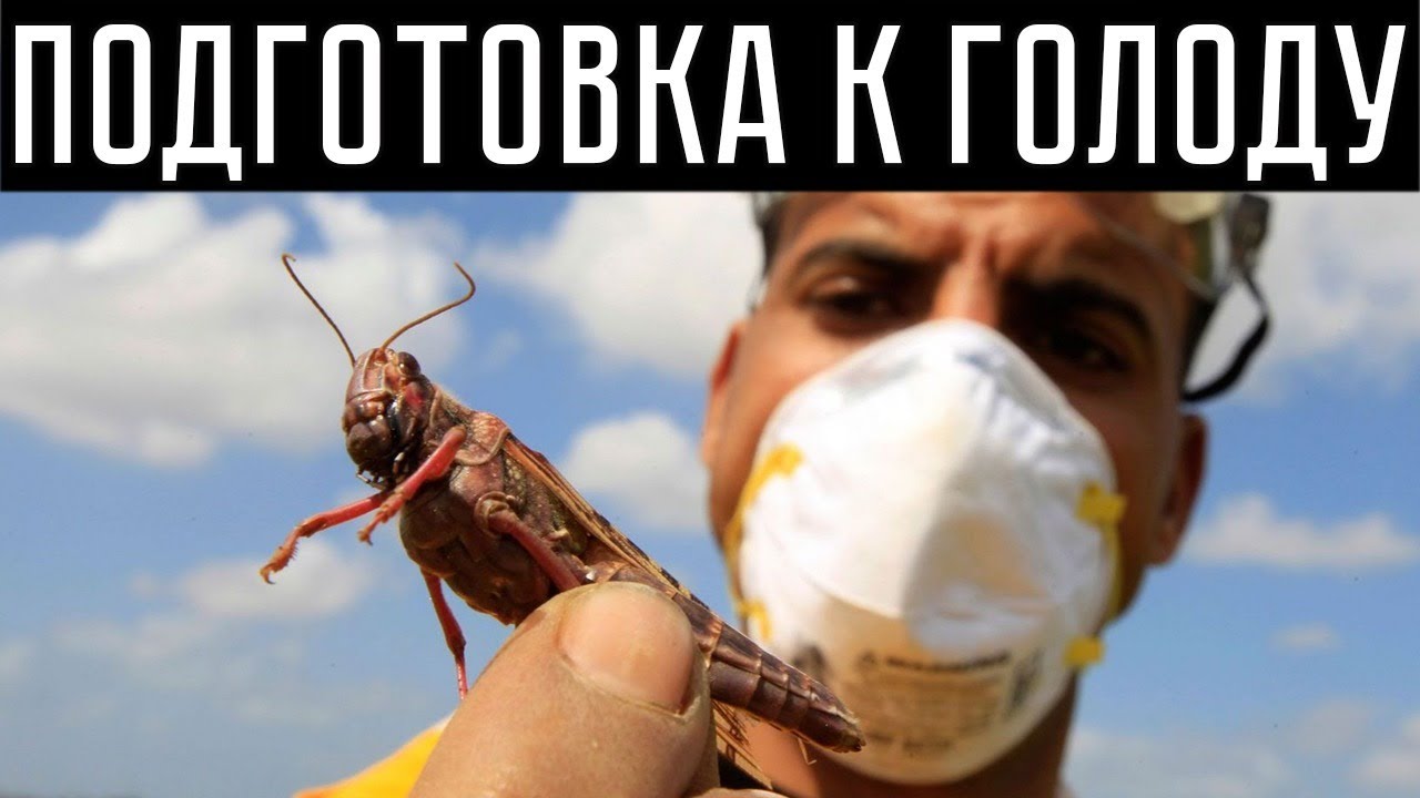 ПОДГОТОВКА К ГОЛОДУ?