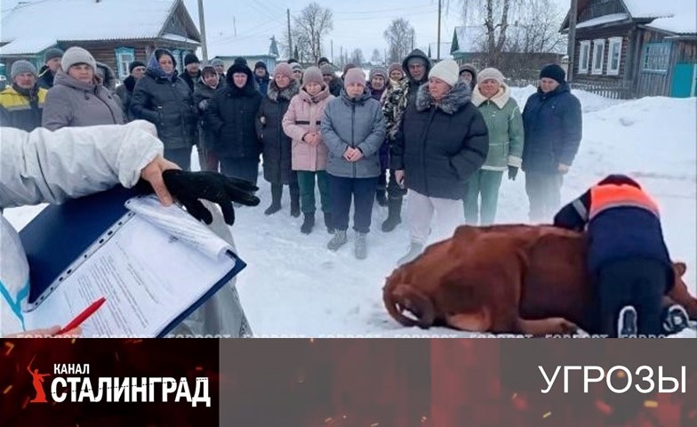 Высшая мера без суда.