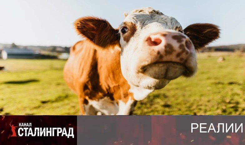 Великий исход.