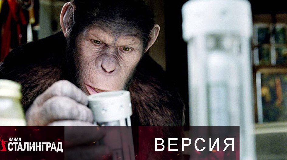 Обезьянобесие.