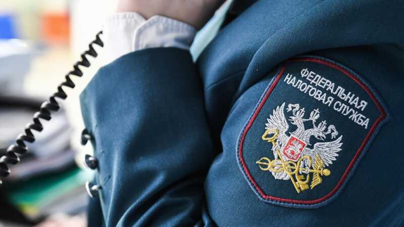 ФНС дадут доступ к документам юрлиц с целью их анализа.