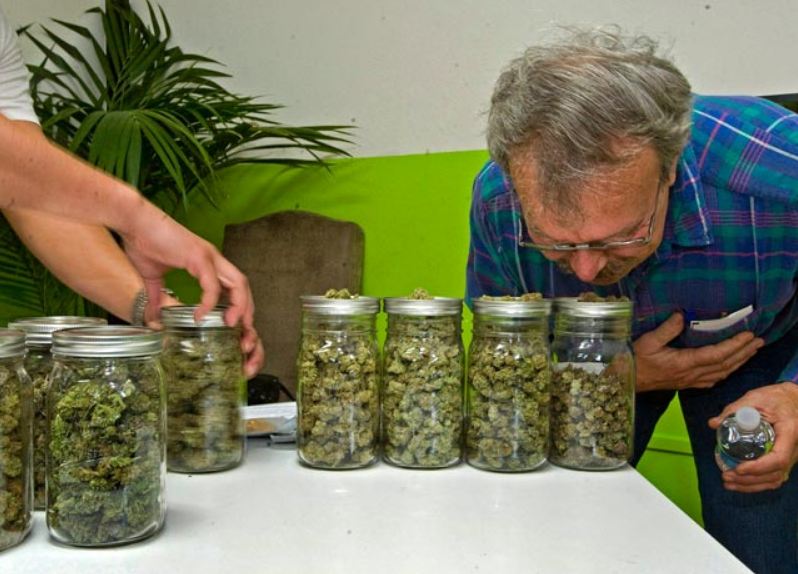 Возьми травы. Ядовитые растения ставропольского края. Возьми травы. Лекарственные растения в домашней аптечке 2 класс. Ядовитые растения омской области.