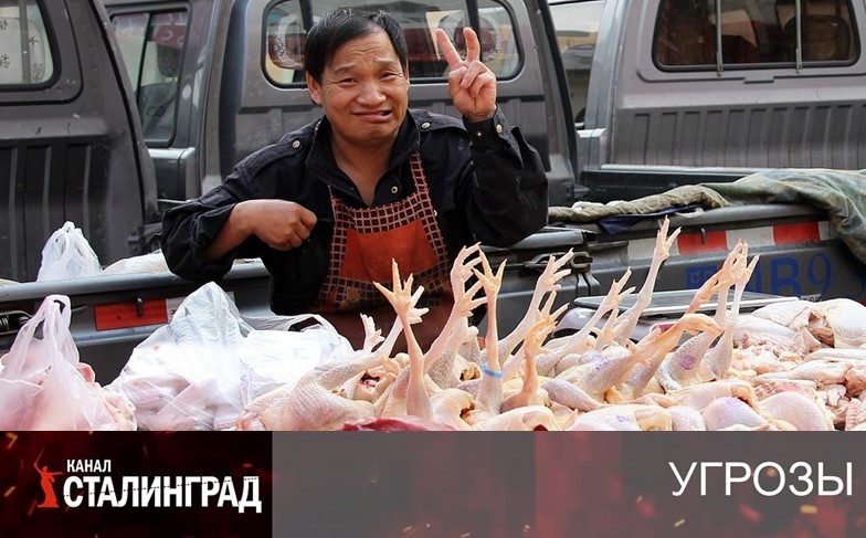 Сдали с потрохами Китаю