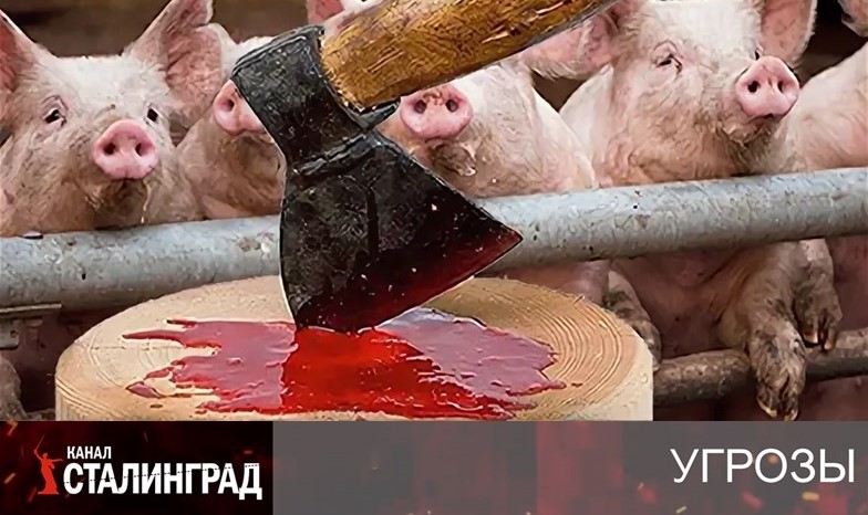 Снова резня. Свиньи.