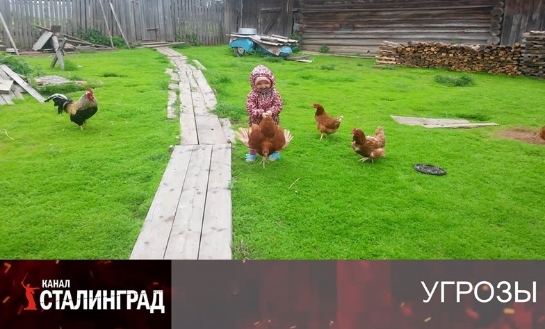 Цыплят по осени…