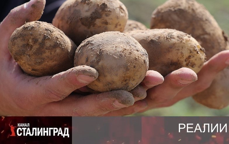 Клубни кризиса