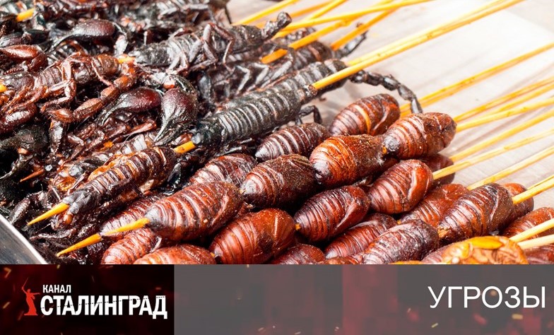 Комариные котлеты Патрушева.