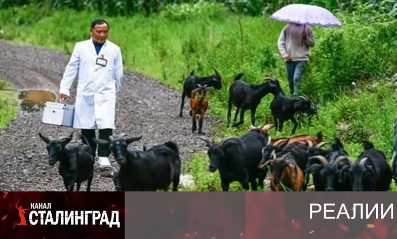 ДОКТОР ПО-КИТАЙСКИ