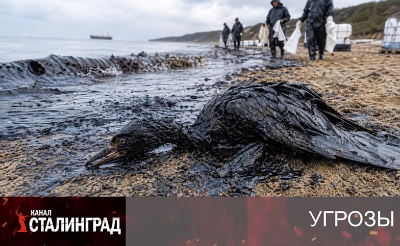 Привилегия врать.
