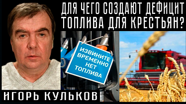 ДЛЯ ЧЕГО СОЗДАЮТ ДЕФИЦИТ ТОПЛИВА ДЛЯ КРЕСТЬЯН? Игорь Кульков