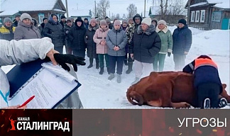 Высшая мера без суда.