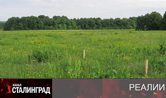 В чистом поле