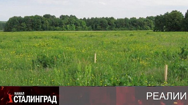 В чистом поле