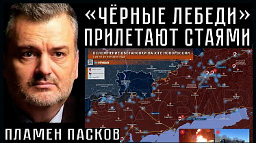 «ЧЁРНЫЕ ЛЕБЕДИ» ПРИЛЕТАЮТ СТАЯМИ. Пламен Пасков