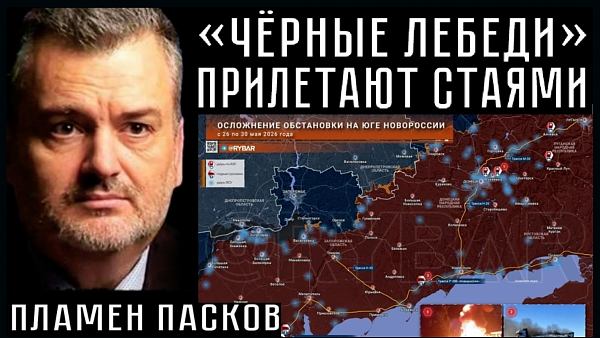 «ЧЁРНЫЕ ЛЕБЕДИ» ПРИЛЕТАЮТ СТАЯМИ. Пламен Пасков