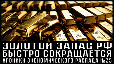 ФНС действует жёстче, 2,2 миллиона банкротов, массовые кассовые разрывы. ХРОНИКИ ЭКОНОМИЧЕСКОГО РАСПАДА №35