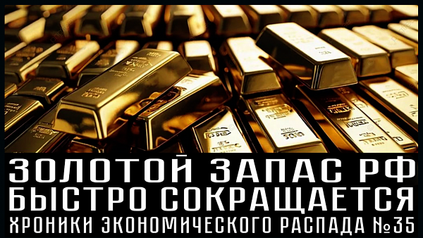 ФНС действует жёстче, 2,2 миллиона банкротов, массовые кассовые разрывы. ХРОНИКИ ЭКОНОМИЧЕСКОГО РАСПАДА №35