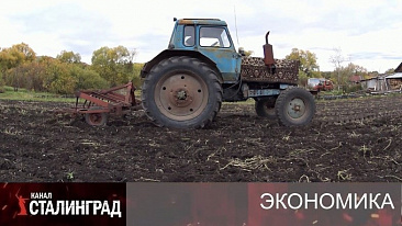 Круги кризиса