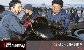 НЕ ТАМ КОПАЕТЕ