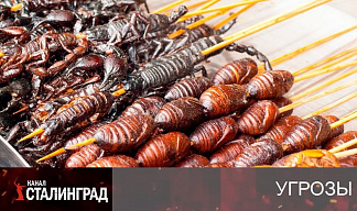 Комариные котлеты Патрушева.