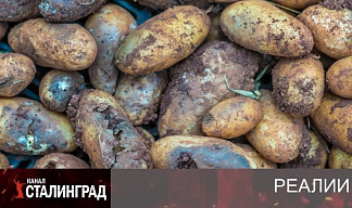 Гнильё