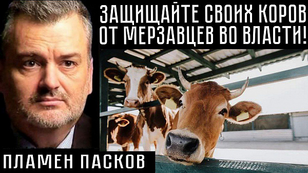 ЗАЩИЩАЙТЕ СВОИХ КОРОВ ОТ МЕРЗАВЦЕВ ВО ВЛАСТИ! Пламен Пасков