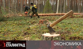 «Отрасль достигла дна». 