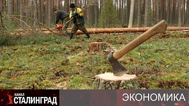 «Отрасль достигла дна». 