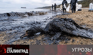 Привилегия врать.