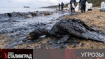 Привилегия врать.