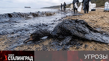 Привилегия врать.