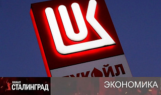 «Всю капусту сожрали, сволочи»