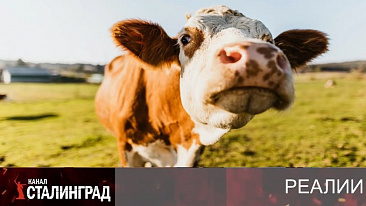 Великий исход.