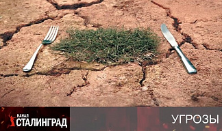 Голод