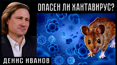 ОПАСЕН ЛИ ХАНТАВИРУС? Денис Иванов