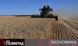 Зерновое удушье. 