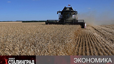 Зерновое удушье. 