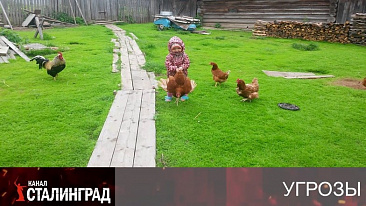 Цыплят по осени…