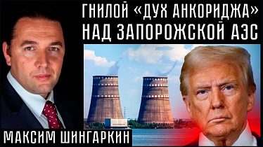 ГНИЛОЙ «ДУХ АНКОРИДЖА» НАД ЗАПОРОЖСКОЙ АЭС. Максим Шингаркин