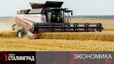 Бензина нет. Солярки тоже.