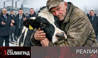 СКОТНЫЙ ДВОР