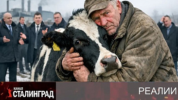 СКОТНЫЙ ДВОР