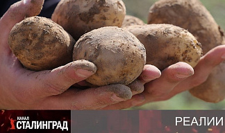 Клубни кризиса