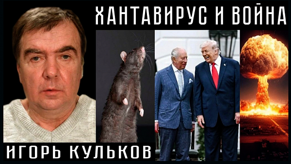ХАНТАВИРУС И ВОЙНА. Игорь Кульков